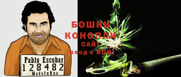 ГАЛЛЮЦИНОГЕННЫЕ ГРИБЫ Беломорск
