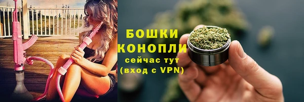 ГАЛЛЮЦИНОГЕННЫЕ ГРИБЫ Беломорск