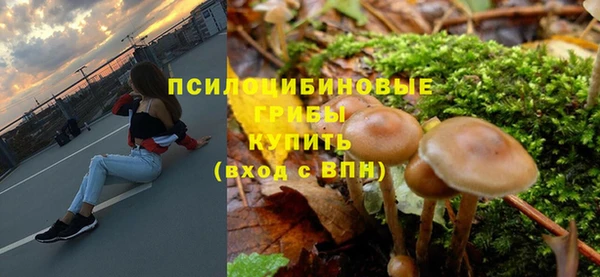 молекула духа Баксан