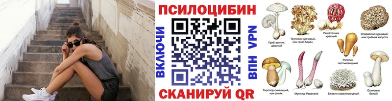 купить наркотик  hydra рабочий сайт  Галлюциногенные грибы Psilocybe  Армавир 